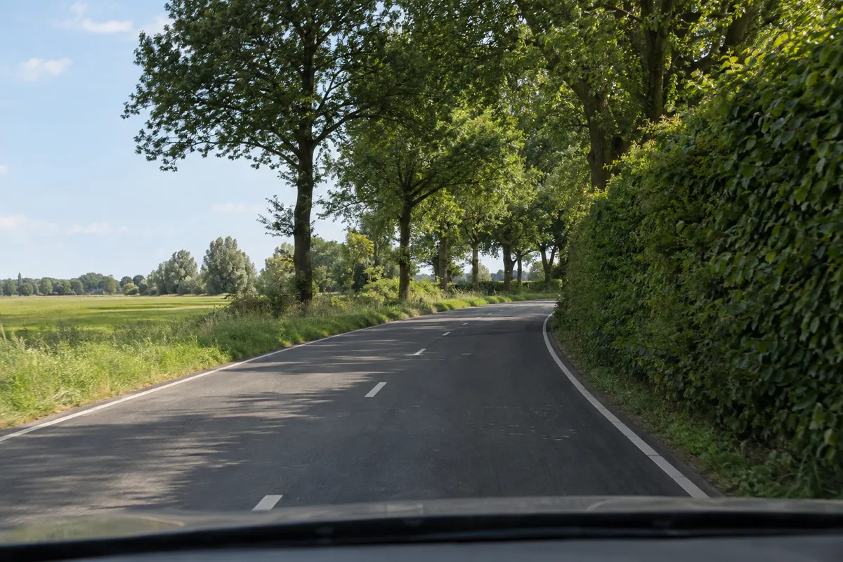 Zicht vanuit de auto op een landweg: haag en bomen verbergen de bocht, je ziet maar een klein stuk weg